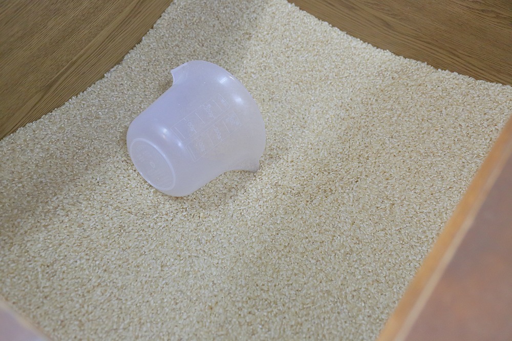 韮神やのはじまり