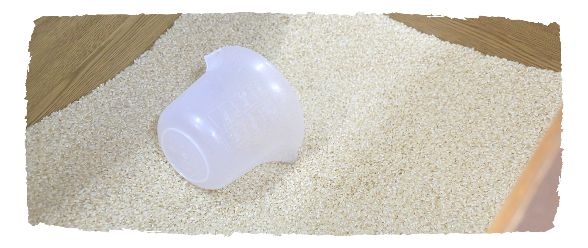 有限会社サン・ファーム韮神 韮神や