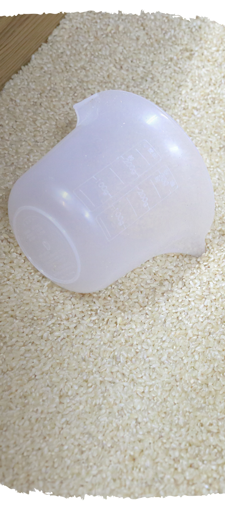 有限会社サン・ファーム韮神 韮神や