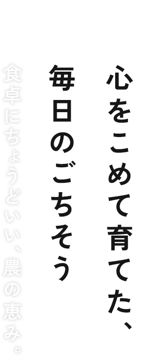 【心をこめて育てた、毎日のごちそう】食卓にちょうどいい、農の恵み